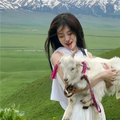 蜘蛛与郁金香
