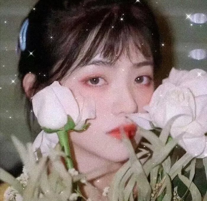 网络凶铃